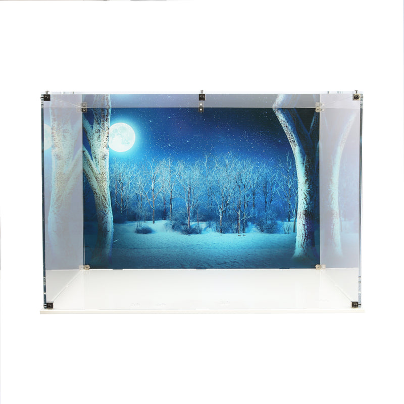 Load image into Gallery viewer, LEGO 21330 Ideas Home Alone Display Case
