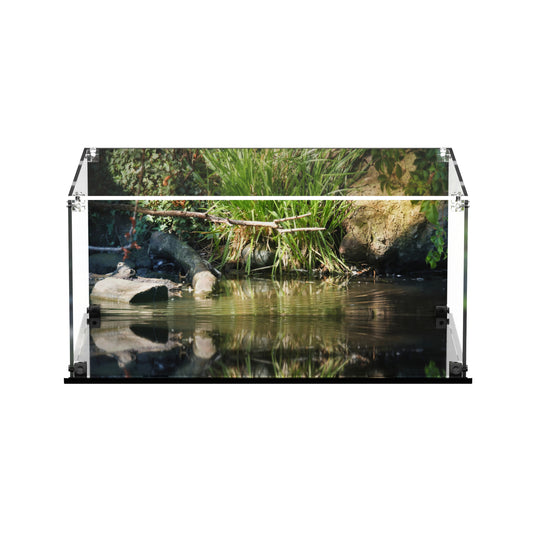 LEGO 21366 Floating Sea Otters - Display Case