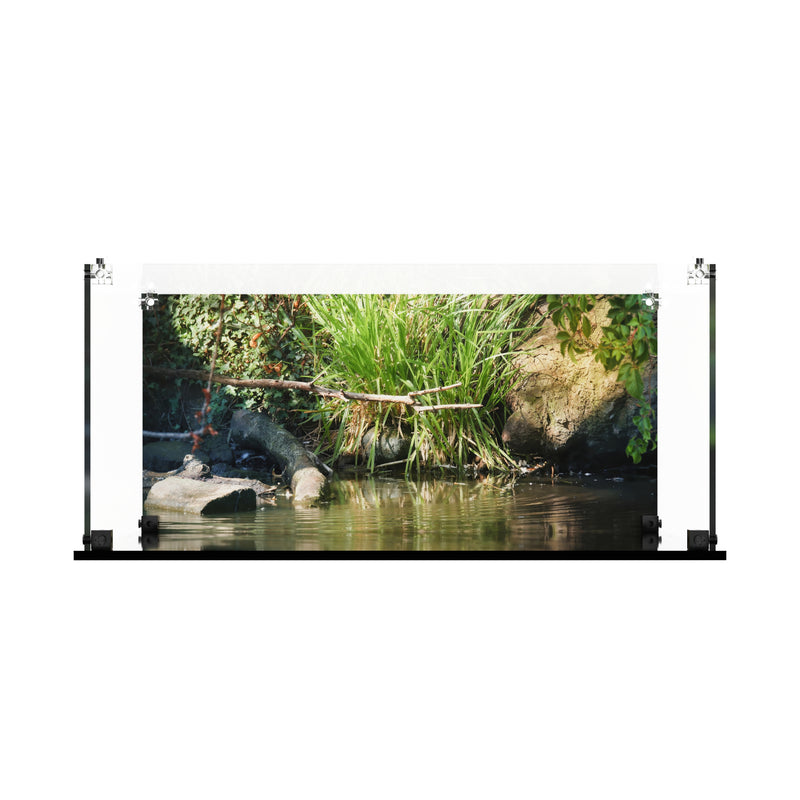 Load image into Gallery viewer, LEGO 21366 Floating Sea Otters - Display Case
