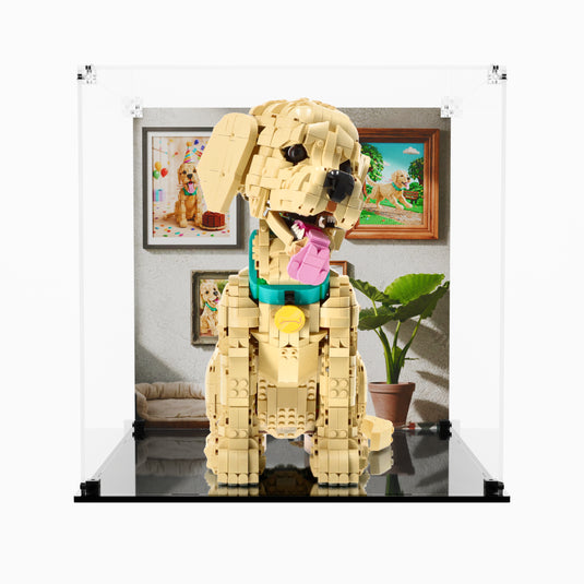 LEGO 11384 Golden Retriever Puppy - Display Case