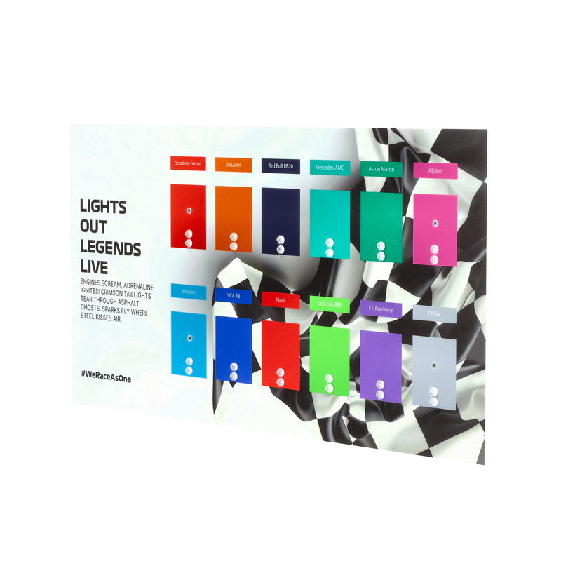 Load image into Gallery viewer, LEGO 71049 F1 Collectible Race Cars - Wall Display

