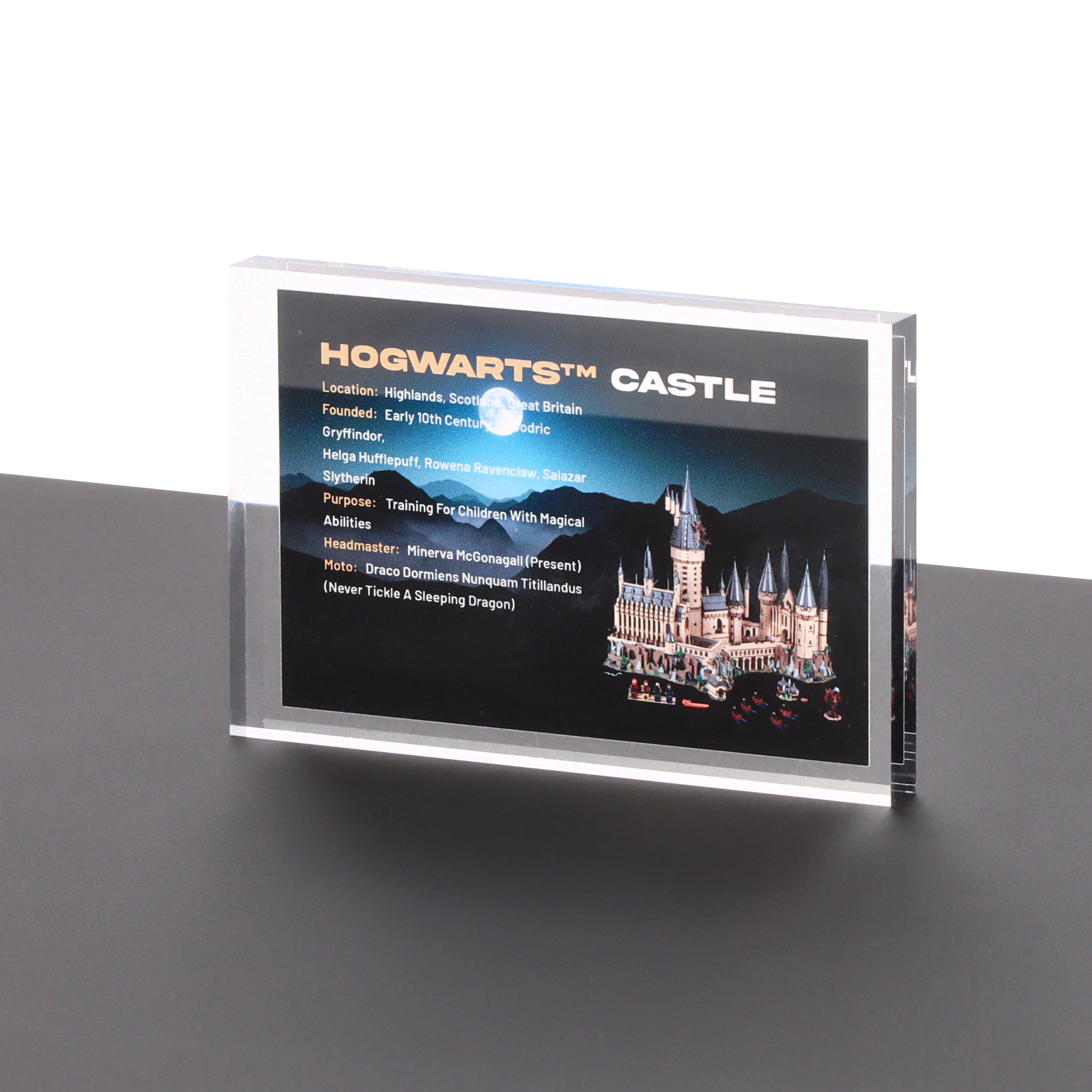 Lego 71043 Hogwarts Castle - Display Plaque – Uniquedisplay.co.uk