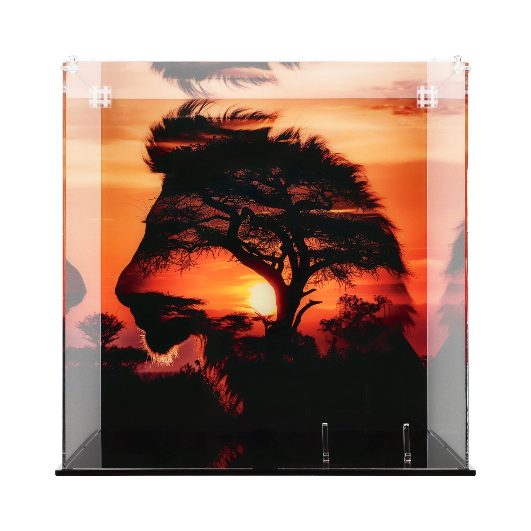 LEGO 43247 Young Simba the Lion King - Display Case