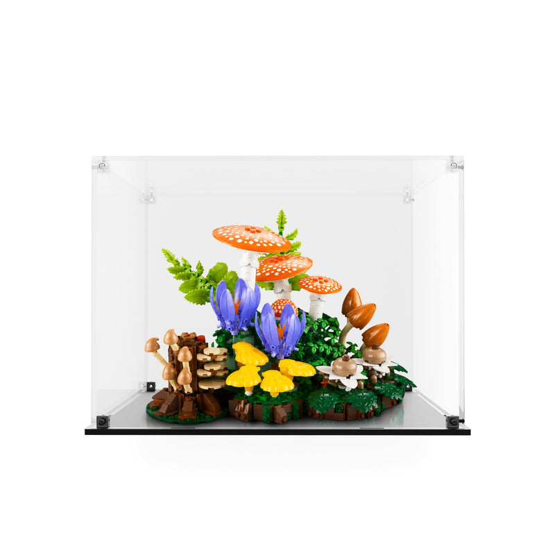 Load image into Gallery viewer, Clear acrylic display case for LEGO 11505 Woodland Mushrooms with black base, shown with model; LEGO set not included
