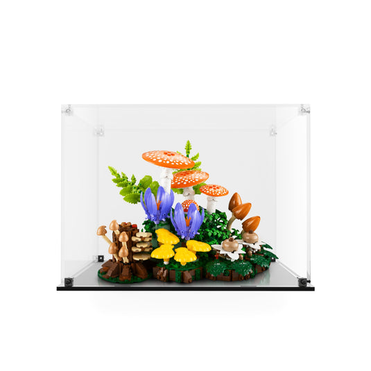 Clear acrylic display case for LEGO 11505 Woodland Mushrooms with black base, shown with model; LEGO set not included