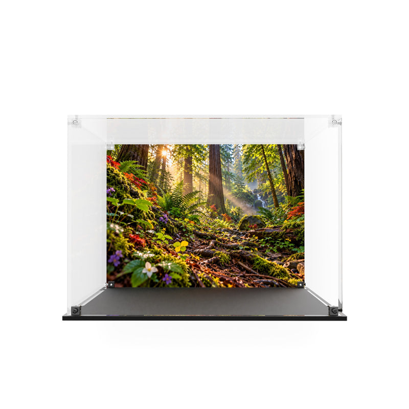 Load image into Gallery viewer, Empty acrylic display case for LEGO 11505 Woodland Mushrooms with printed woodland background and black base
