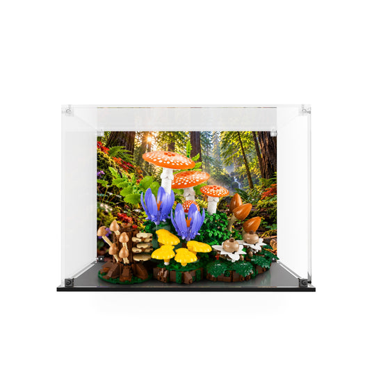 Display case for LEGO 11505 Woodland Mushrooms with printed woodland background and black base, front view with model; LEGO set not included